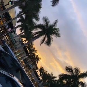 Meet your Posher, Peter